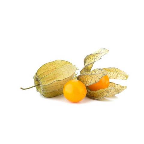 Physalis, la pice