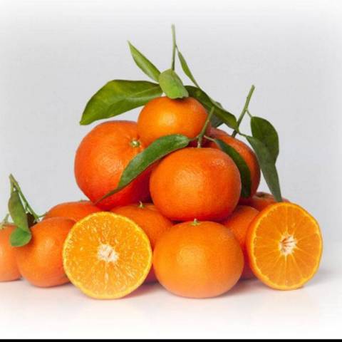Mandarines clmenvilla NT  feuilles, le kg