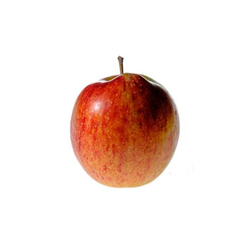 Pommes Jonagored, le kg