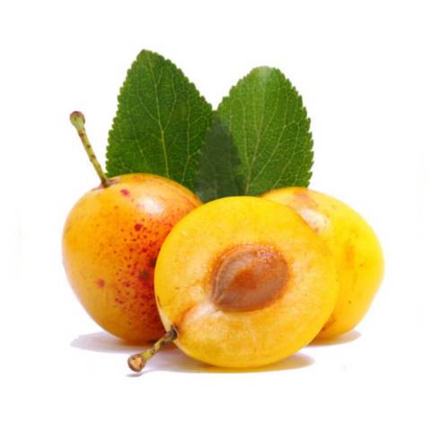 Mirabelles, le kg