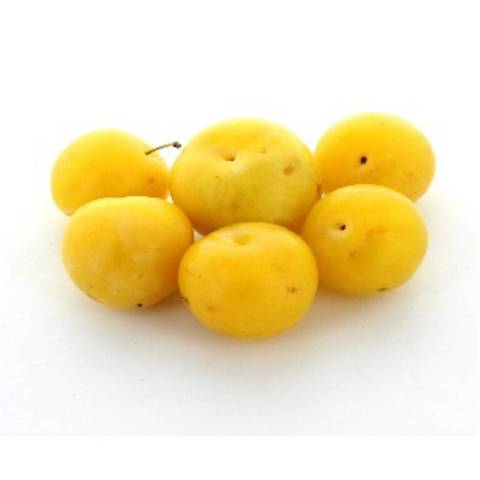 Prunes Rubinelle, le kg