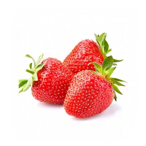 Fraises, la barquette de 500 gr France