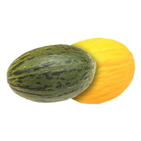 Melon vert ou jaune, la pice