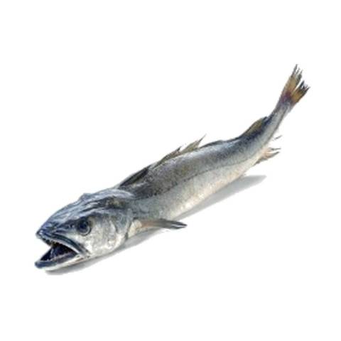 Merlu entier, le kg