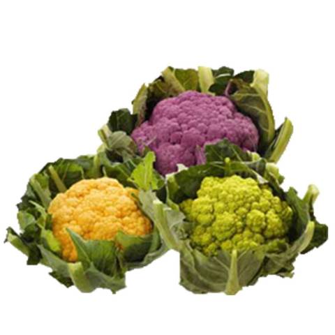 Chou fleur violet ou orange, la pice