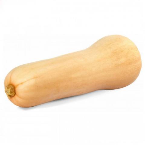 Butternut, la pice