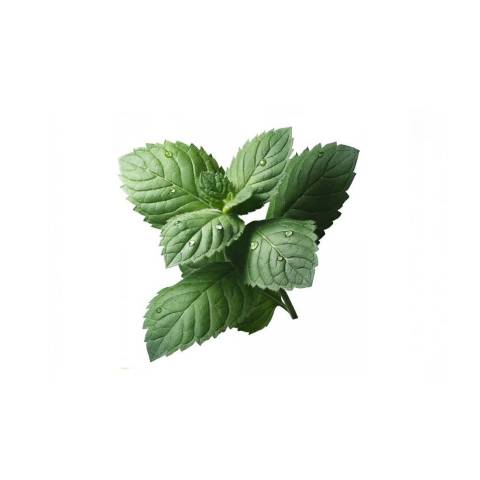 Menthe, le sachet de 30 gr