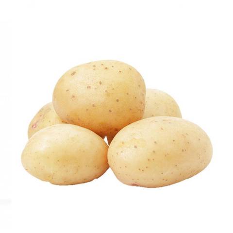Pommes de terre Charlotte nouvelle, le kg