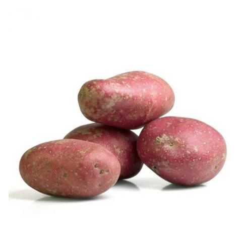 Pommes de terre rouge Désirée BIO, le kg