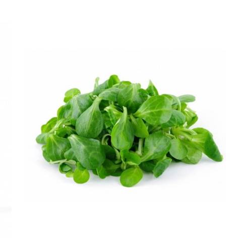 Salade mche, la barquette 150 gr