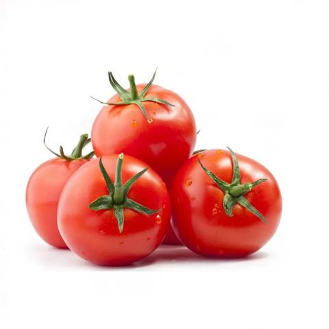 Tomates, le kg