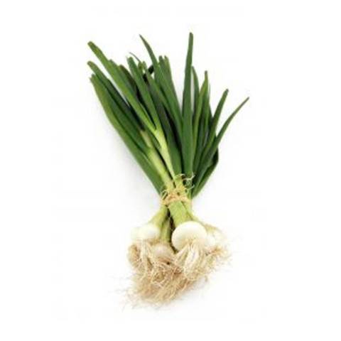 Oignons blancs, la botte