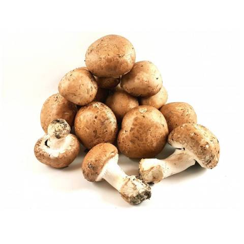 Champignons blonds, le kg