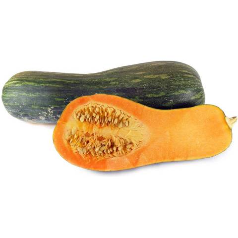 Courge pleine de Naples, le kg