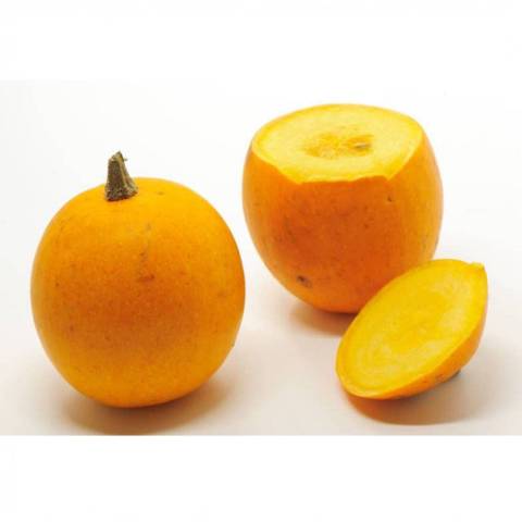 Courge pomme d'or, la pice