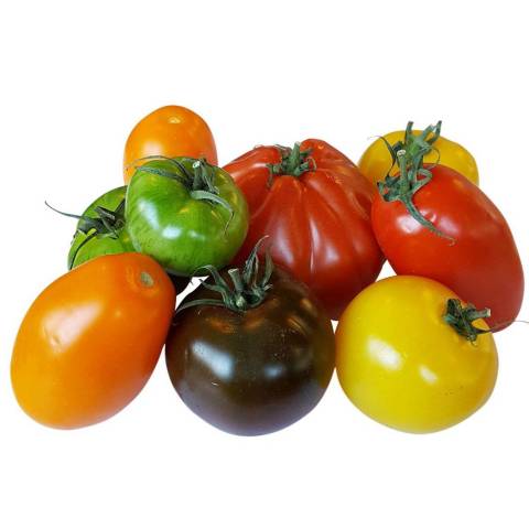 Tomates mixtes d'antan, le colis de 3,5 kg