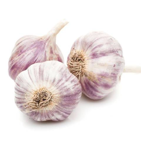 Ail violet, le kg