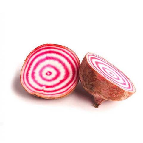 Betterave chioggia, le kg