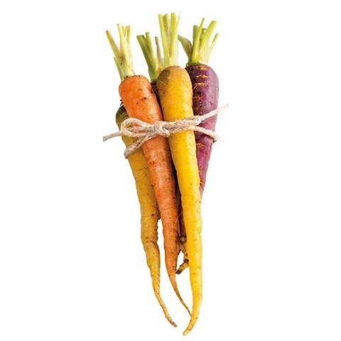 Carottes jaunes et violettes, le kg