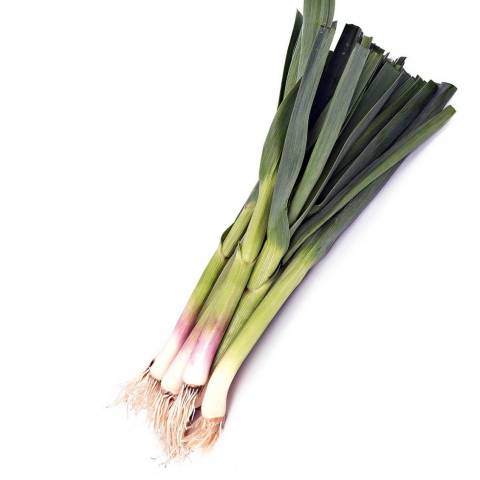 Aillet (ail vert), la botte de 3 brins