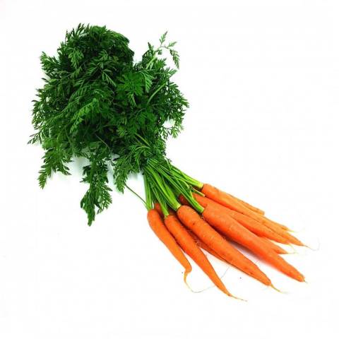 Carottes, la botte