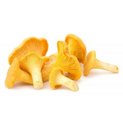 Girolles, le kg