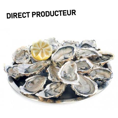 Hutres de pleine mer n3, la douzaine