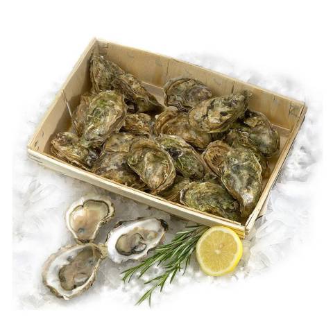 Hutres de pleine mer n3, la douzaine