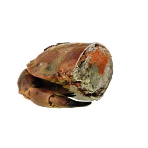 Demi-crabe tourteau cuit, le kg