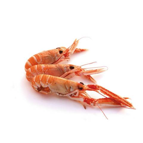 Langoustines  cuire, le kg