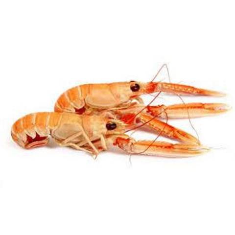 Langoustines cuites 16/20, le kg