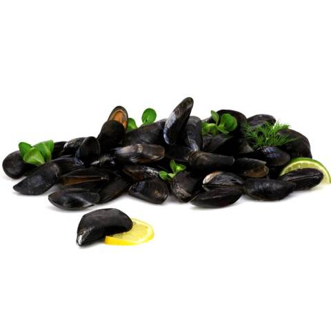 Moules de cordes BIO, le kg