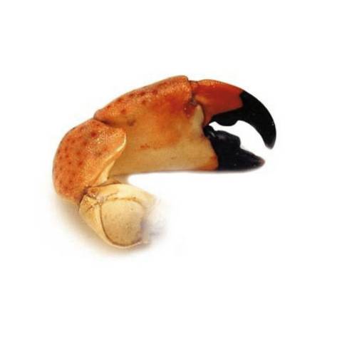 Pinces de crabes cuites, le kg