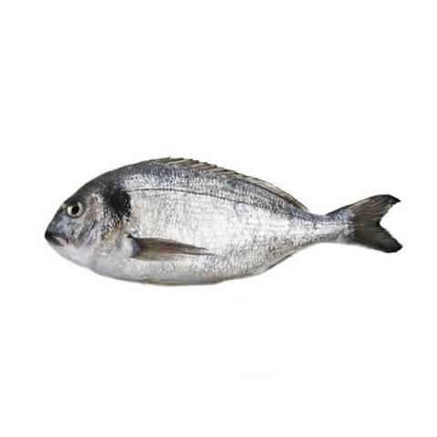 Dorade grise entire, le kg