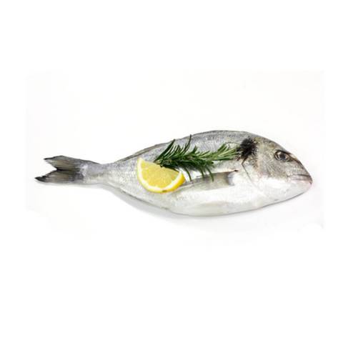 Dorade royale, le kg