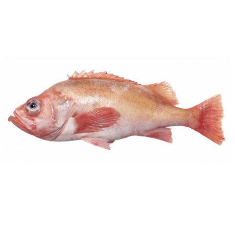 Dorade sbaste entire sans peau, le kg