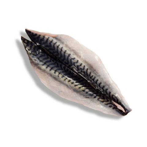 Filets de maquereaux, le kg