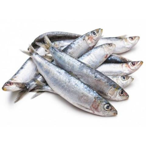 Filets de Sardines, le kg
