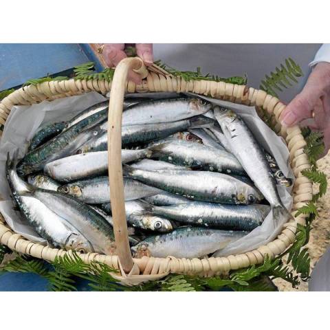 Sardines , le kg