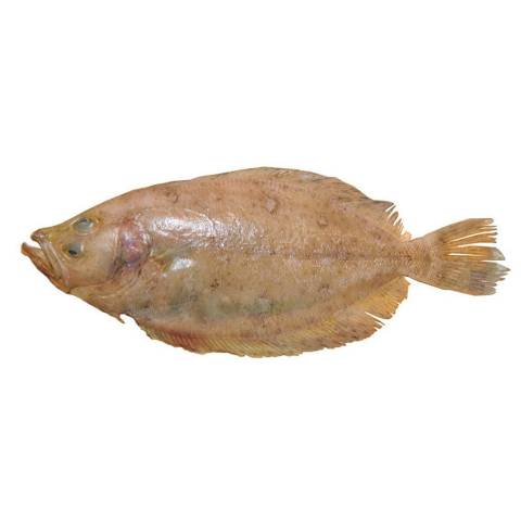 Limande cardine, le kg