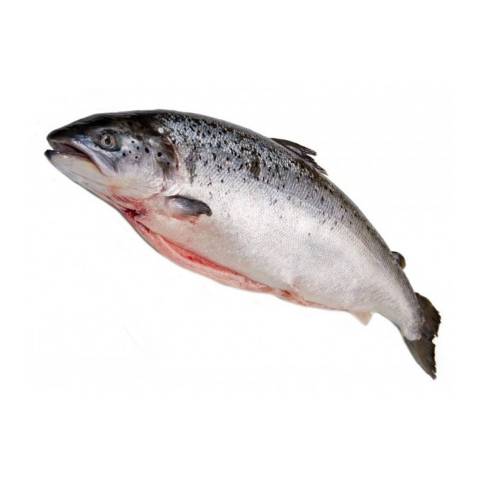 Saumon entier, le kg