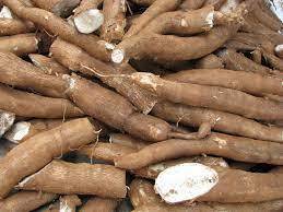 MANIOC , le kg
