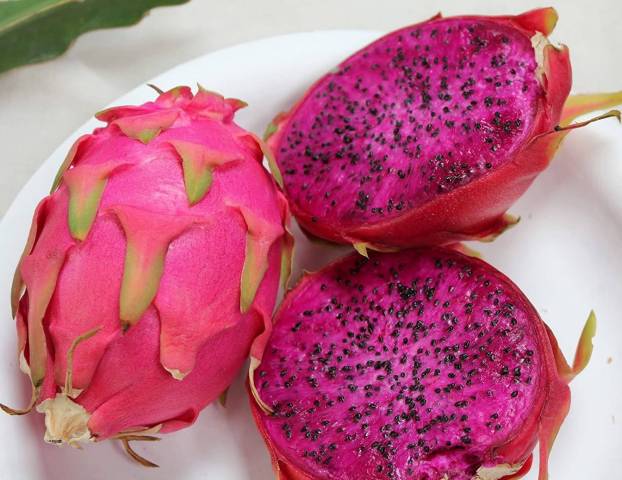 PITAYA ROUGE, le kg