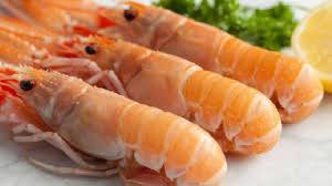 langoustines glaces, le kg
