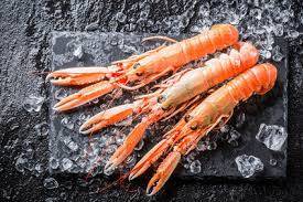 langoustines 20/30