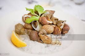 bulot cuit le kg
