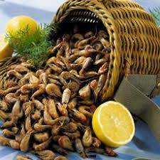  crevettes grise le kg